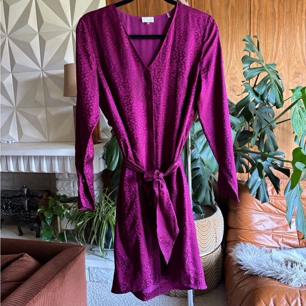 Ecru Magenta Dress